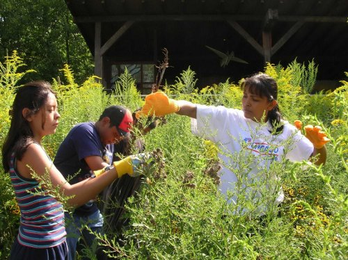 Chicagoland Environmental Network - Volunteers in Action